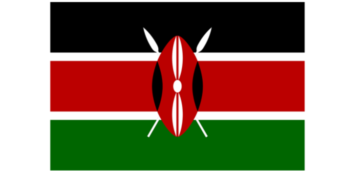 M-Pesa: Mobile Payment in Kenia