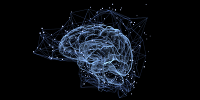 Digit und Brain: Wie menschliche Intelligenz über Analysesoftware triumphiert