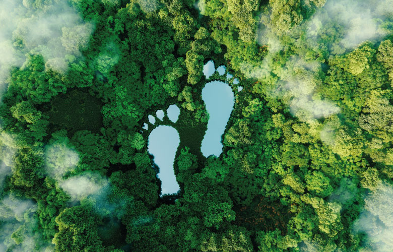 Ein See in Form menschlicher Fußabdrücke inmitten eines üppigen Waldes als Metapher für den Einfluss menschlicher Aktivitäten auf die Landschaft und die Natur im Allgemeinen, Nachhaltigkeit im Zahlungsverkehr