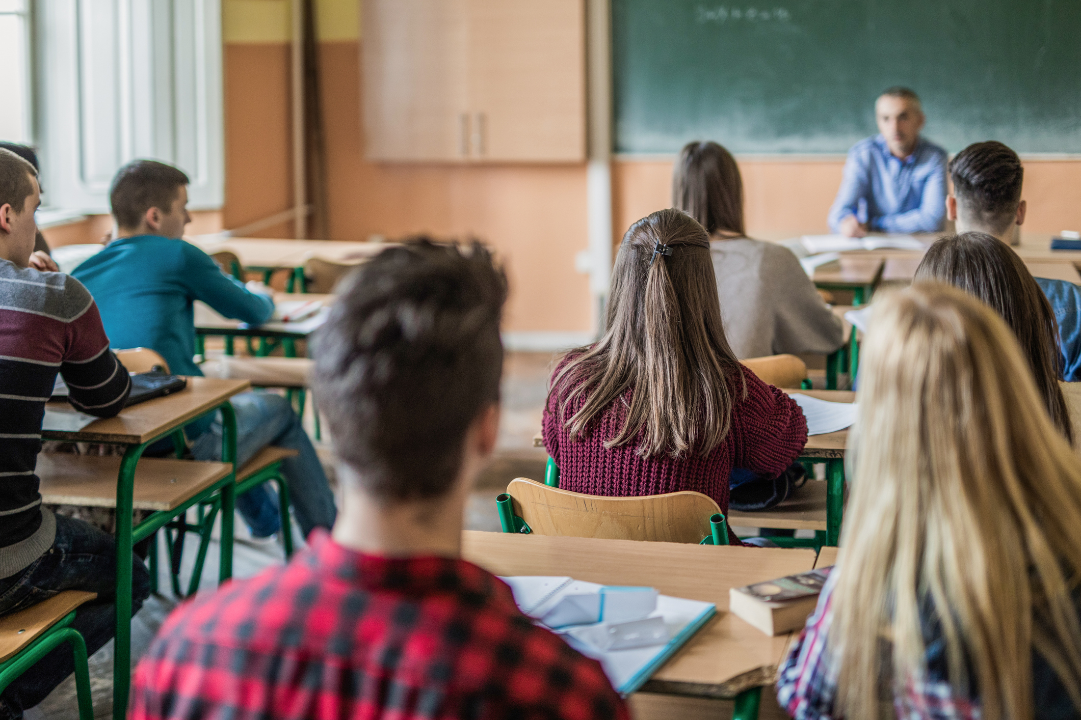 Rückansicht einer großen Gruppe von Schülern, die im Klassenzimmer sitzen und ihrem Lehrer zuhören. Der Fokus liegt auf Mädchen in lila Pullover.