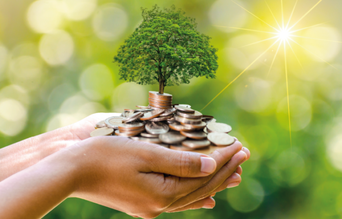|Sustainable Finance auf den Punkt